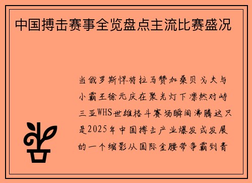中国搏击赛事全览盘点主流比赛盛况